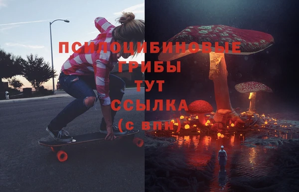 дурь Балахна