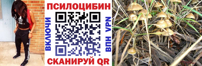 Галлюциногенные грибы MAGIC MUSHROOMS  Купить где  Верхняя Тура 